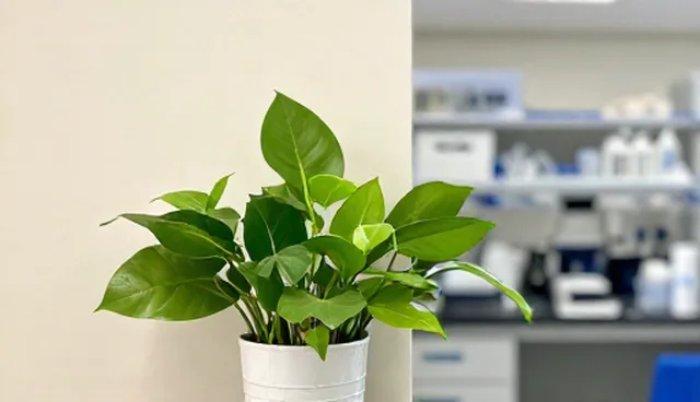 施工进度管理中两种做法的对比与取舍